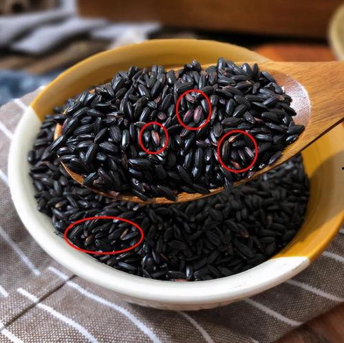 黑料不打料入口,探寻网络世界的真实与虚假 第1张 黑料不打料入口,探寻网络世界的真实与虚假 第1张